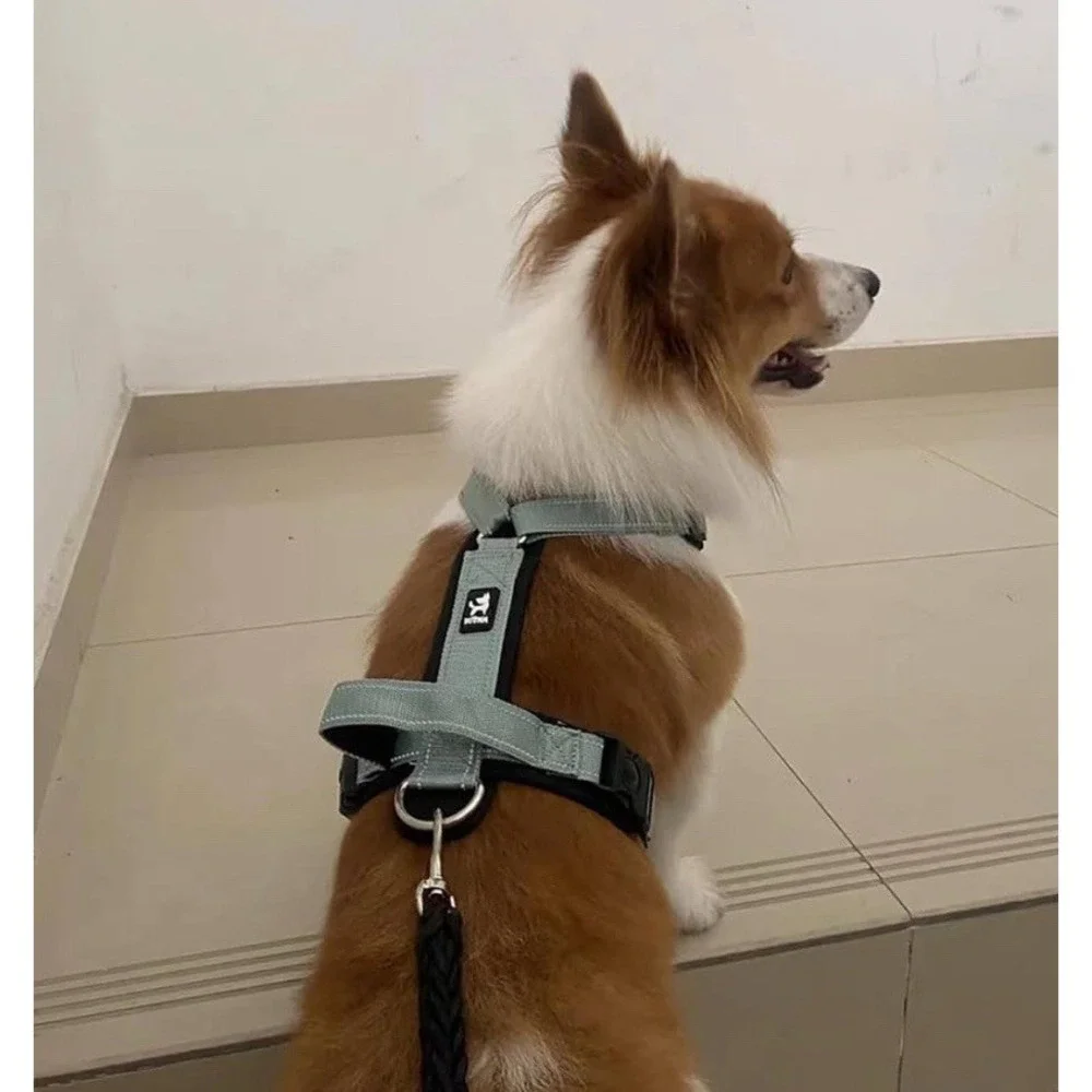 No Pull Small Dog Harness Puppy Soft Vest Harness Neck &‎ Chest Adjustable M T1